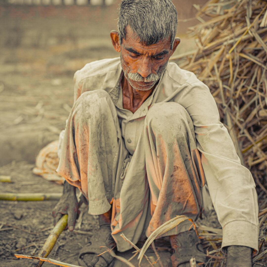 pexels-tamhasipkhan-11952639